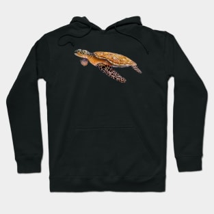 Hawaiian green sea turtle Hoodie